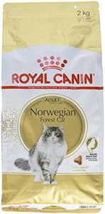 NORWEGIAN FOREST CAT ADULT ROYAL CANIN Sac de 2 kg/Croquettes premium pour chat Norvégien adult