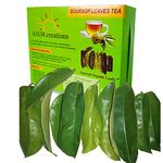 Soursop Leaves 300 Nos (+100 Extra)- Graviola Leaves | Annona Muricatta | Lakshman Phal | Mullu Seetha | Ram Phal, Green Tea, Leaf, 100 Gm (400 Leaves- 1 Month Pack)