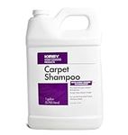 Kirby 1 Gallon Carpet Shampoo, 2528