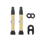 HZJD 2PCS Bike Tubeless Presta Air Valve Stem, Brass Tubeless Presta Valve Stem(40 mm)