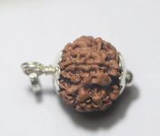 FOREVER Gems Ek Mukhi GOL Dana Nepali Rudraksha Original Certified Precious One Face Round Rudraksha Rarest 1 Mukhi GOL Dana Rudraksha Real 1 Face Ruthratcham एक मुखी रुद्राक्ष ओरिजिनल नेपाल गोल दान