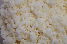 Lifetime Kefir Milk Kefir Grains