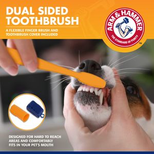 Arm & Hammer Dog Dental Kit – Toothbrush and Enzymatic Toothpaste