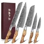 HEZHEN 5PC Kitchen Knives Set-Durable, Vacuum Heat Treated Damascus Steel- High Carbon Steel Japanese Style -Chef Knife Utility Knife Santoku Knife-Figured Sycamore Wood Handle-Porcelain Gift Package