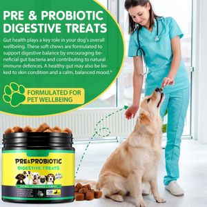 Dog Probiotics Chews – 120 Count Digestive Supplement for Pets