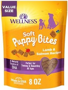 Wellness S