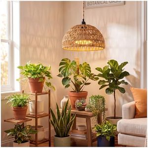 Boho Decorative Hanging Grow Light, Pendant Plant Light for Indoor Plants, Ceiling Grow Lamp with 24H Timer for Plant Corner Bedroom Living Room
