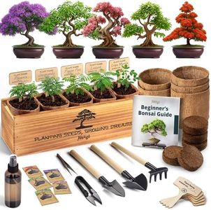 AVERGO Bonsai Tree Kit for Beginners – 5X Unique Japanese Bonzai Trees | Complete Indoor Bonsai Starter Kit for Growing Bonsai Plants with Tools & Planters – DIY Gardening Gifts for Women & Men
