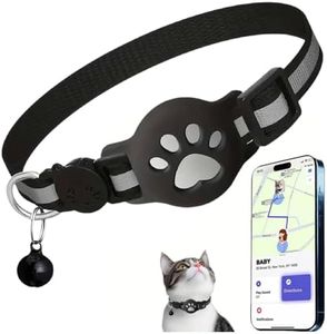 Cat Track 