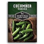 1 Pack Muncher Cucumber Seed for Pl