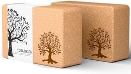 Cork Yoga Blocks 2 Pack Set, Natura