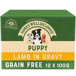 James Wellbeloved Junior Grain-Free Lamb in Gravy 12 Pouches, Hypoallergenic Wet Dog Food for Puppies, Pack of 1 (12x100 g)