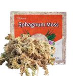 Yilotuce 5.5 oz Sphagnum Moss for Plants, Premium Compressed Sphagnum Moss for Orchids