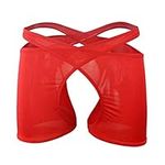 Evankin Mens Sexy Mesh Boxer Briefs Low Rise Underwear Breathable Hollowed Out Boxers Assless Lingerie(Red)