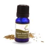 SVATV Carrot Seed Essential Oil Therapeutic Grade Aromatherapy Oils Fragrance Oil for Diffuser Yoga Massage & DIY Personal Care 10 ml