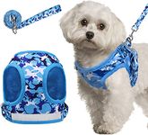 KUTKUT No Pull Breathable Mesh Vest Harness and Leash Set for Small Dogs and Cats | Adjustable Reflective Puppy Vest Harness for Small Dogs (Size: XL, Adjustable Chest: 42-48 cm)