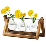 Propagation Station for Plants Upgrade Bulb Vase Planter with Wooden Stand Glass Plant Pot Indoor for Table Centrepiece Decoration Vintage Home Office Accessories,3 Bulbs