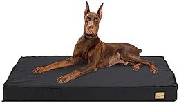 BingoPaw Dog Crate Bed Mat: Orthope