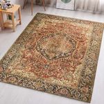 Aspire Homeware Rugs for Bedroom Living Room 120x170 cm - Traditional Area Rugs Modern Majestic Cashmere Style - Soft Short Pile Vintage Rug - Carpet for Dining Room Easy To Clean