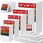 30 Pack Canvases for Painting with 