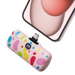 iWALK USB-C Portable Charger with C