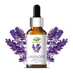 Farm Blends Bulgarian Lavender Essential Oil 100% Undiluted Pure | For Hair Growth, Rejuvenated Skin, Relaxed Sleep, Diffuser | Farm To Home | Natural | Lavandula angustifolia | 15ml