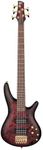 Ibanez SR305EDX Standard 5-String Right-Handed Electric Bass Guitar with Jatoba Fretboard, Nyatoh Body, and PowerSpan Dual Coil Pickups (Wine Red Frozen Matte)
