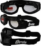 Birdz Kite Motorcycle Goggles - Glossy Black Frame with Clear Lenses