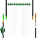 SERfawnCH Carbon Arrows 31in for Hunting & Target Practice, 12 Pack with Removable Tips, Compatible with Compound & Recurve Bows‌