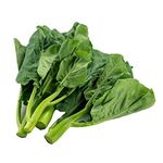 PREMIER SEEDS DIRECT CHINESE KALE- KAILAAN KICHI - 200 SEEDS