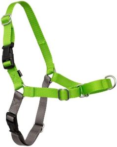 PetSafe Easy Walk No-Pull Dog Harness - Ultimate Harness to Help Stop Pulling - Pull-Free Walks - Take Control & Teach Better Leash Manners - Patented Martingale Loop Design - Apple Green, Medium