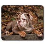 Destination Vinyl ltd Comfortable Mouse Mat - American Bulldog Puppy Dog 23.5 x 19.6 cm (9.3 x 7.7 inches) for Computer & Laptop, Office, Non-slip Base - RM12471