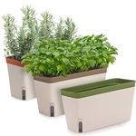 Amazing Creation Windowsill Herb Planter Box, Set of 3, Rectangular Self Watering Indoor Garden for Kitchens, Grow Plants, Flowers or Succulents, Large Water Reservoir