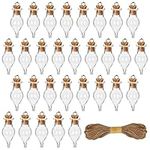 BELLE VOUS 30 Pack of Glass Potion Bottles - 1.5ml Miniature Jars with Cork Stopper Lids & Hanging Rope - Glass Bottles for Wedding/Party Favours, Wishing Bottles & Decorative DIY Arts/Crafts