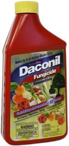 Daconil® Fungicide Concentrate for Insects 16 oz. - 100523634