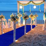 Blue Aisle Runner for Wedding Cerem