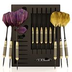 CC-Exquisite Professional Darts Set - Customizable Configuration 6 Steel Tip Darts 20g/24g with 12 Aluminum Shafts 35/48mm, 12 O-Rings, 12 Flights Standard/Slim, Dart Tool, Dart Sharpener and Case…