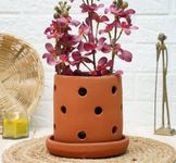 GOLD DUST Orchid Pots, Terracotta Planters - 6 inch, Clay (Pack of 1)