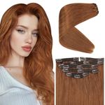 Sunny Hair Clip in Hair Extensions Human Hair Remy Human Hair Clip in Extensions Straight Hair Extensions for Women Clip in 20inch Copper Color