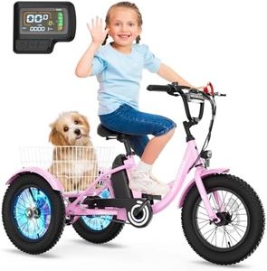NAIZEA Electric Kids Bike - 16 inch Kid Trike for Boys Girls Age 6-16, e Bike for Kids 250W, Children Balance Bike with Adjustable Seat,Kid's Bikes with Basket, Children Bicycle Multiple Colors