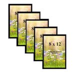 A4 Size Photo Frame For Wall Set of 5 Black Picture Frame For Home and Office Decoration, Size -8x12 Inches