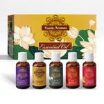 Exotic Aromas Essential Oil - Lavender Oil, Sandalwood Oil, Jasmine Oil, Rose Oil, Ylang Ylang Oil (Pack of 5)