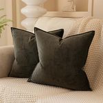 JUSPURBET Ash Decorative Velvet Throw Pillow Covers 20x20 inch Set of 2 Broadside Soft Square Cushion Case for Sofa Couch Bed