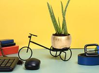 HINS Black Cycle Riksha with Metal Round Shape Flower Plant Pot for Indoor Plants (Gold Standard) Metal Pots for Indoor Plants I Elevated Garden Planter I Raised Planter I Desk Plant I Raised Planter