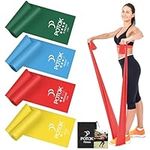 Resistance Exercise Band Kit - 4 Pack Resistance Bands for Women or Men,Physiotherapy Recovery Fitness Band for Mobility Strength & Rehab Premium Quality