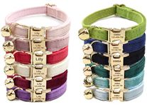 Personalised Cat Collar with Metal Buckle - Engraved Name Phone Number for Boy and Girl Kitten Puppies (Velvet)