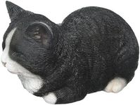 Hi-Line Gift Ltd Sleeping Cat Statue, Black/White