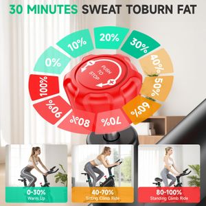 DMASUN Exercise Bike – Indoor Cycling Bike, 350 lb Capacity
