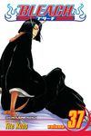 Bleach, Vol. 37 (Volume 37): Beauty Is So Solitary