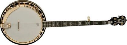 Washburn B17K Banjo (5 String)